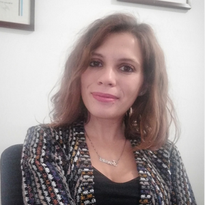 Francesca Soldivieri CIPPS Francesca Soldivieri CIPPS