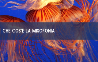 Che cos'è la misofonia cipps